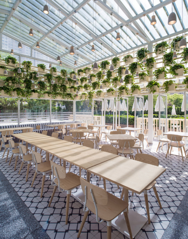 Cafe dengan konsep greenhouse, menghadirkan suasana taman di dalam ruangan